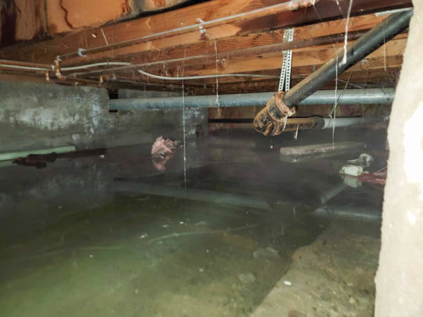Best Professional water damage repair  in Lawrence, KS