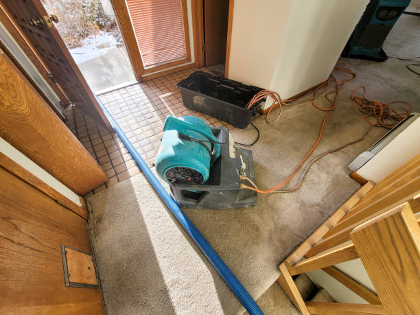 Best Carpet water damage restoration  in Lawrence, KS