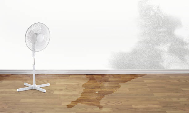 Lawrence, KS Water damage restoration Company