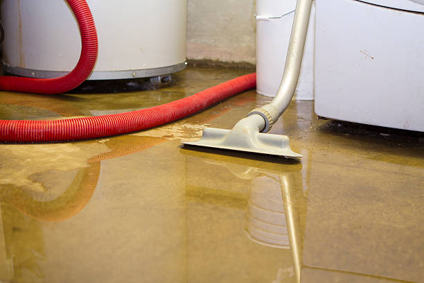 Best Ceiling water damage repair  in Lawrence, KS