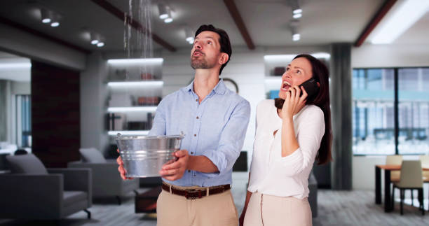 Best Water damage cleanup near me  in Lawrence, KS